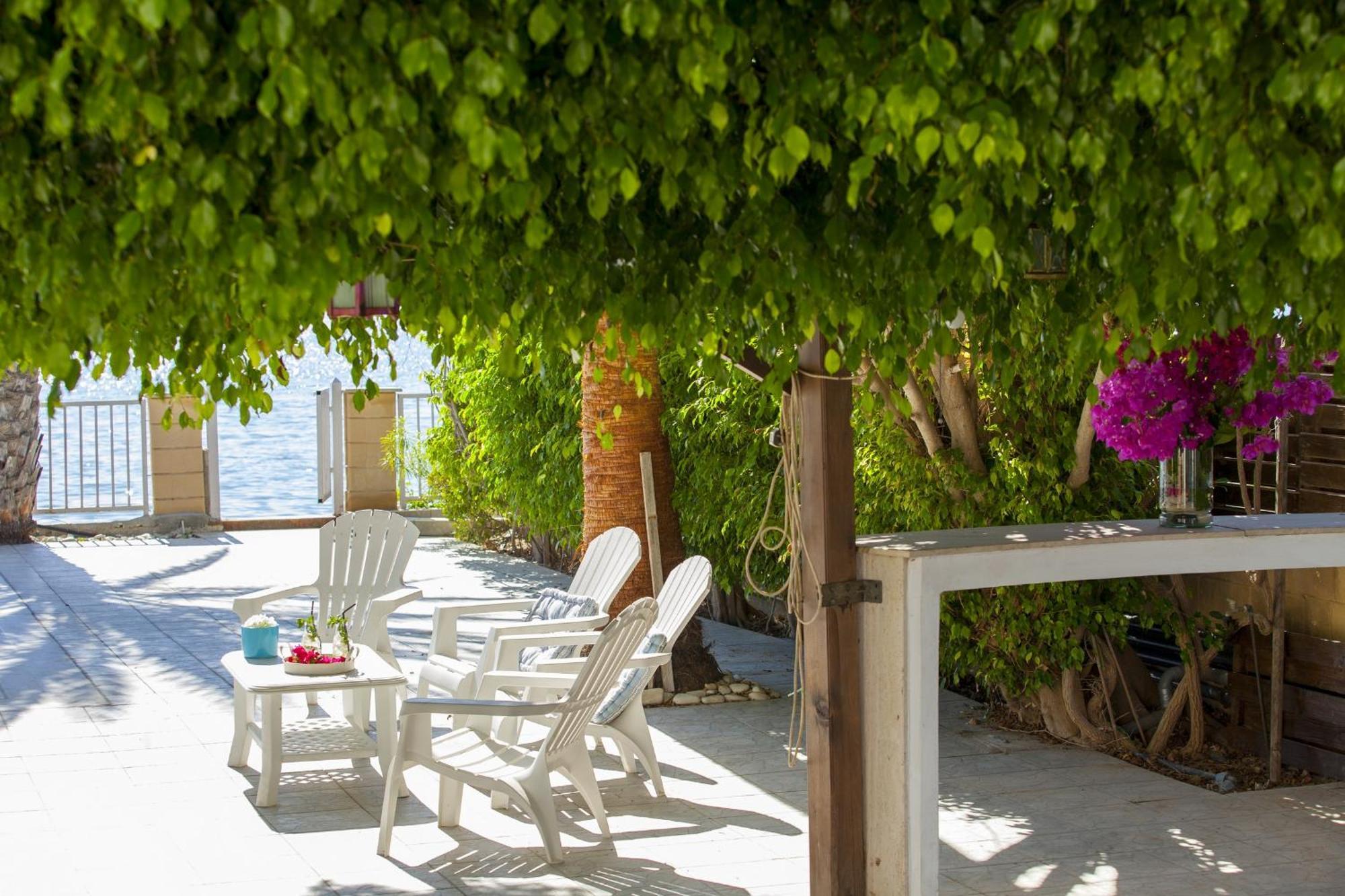 Meneou Beachfront Villa Sunset 皮尔瓦利亚 外观 照片